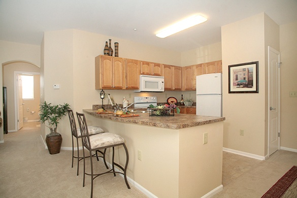 monthly-rent-1